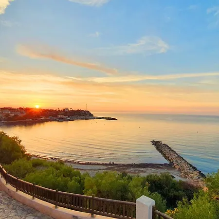 Vitamin Sea Close To Campoamor Ориуэла